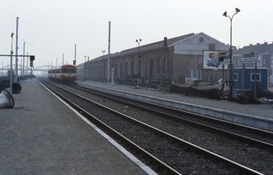 MOESKROEN  DIA 81-2411.jpg